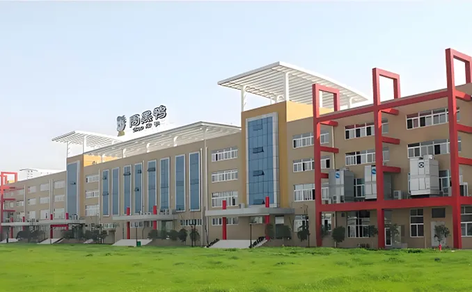 武汉-周黑鸭